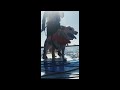 Dog goes paddleboarding with human accompaniment