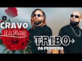 Tribo da periferia - O cravo e a flor ( oficial 2024 single novo )  atualizado #tribodaperiferia