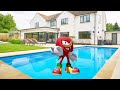 Knuckles' Vacation! (Day 4)