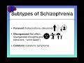 Positive and Negative Symptoms of Schizophrenia