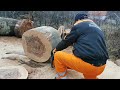 Husqvarna 592xp, Stihl MS 661, Husqvarna 395xp - cutting & racing !!!