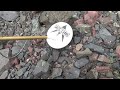 Awesome Metal Detecting Copper In Mine Tailings Piles In Michigan UP