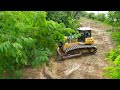 WoW.!! Perfect Operator Moving Forest and Land Clearing Brush Using SHANUI DH17c2 Bulldozer Pushing