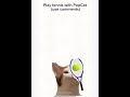 Play tennis with PopCat :3 (use comments)