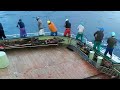 🇯🇵skipjack tuna fishing activities on a boat‼️ #skipjack #japan #fishing #tuna #viralvideo #fyp