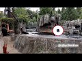 |Funny Smart Cute Sea Lion Show|Sea Lion Feeding & Training at Henry Doorly Zoo Omaha|USA Vlogs