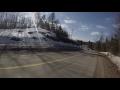 Motorcyclist Saves Bird Moments Away From Death