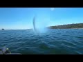 RXPX300's, San Diego Bay  North island - Sport Mode! Jetski wheelie!