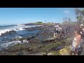 Punalu'u Black Sand Beach 2