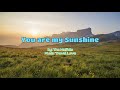 YOU ARE MY SUNSHINE  | by THE MOFFATTS  [ 1 HOUR LOOP ] nonstop