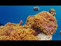 Deep Ocean 4K VIDEO ULTRA HD - Music Peaceful relaxation With Beautiful Ocean Footage