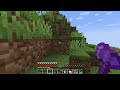 I Beat The Ender dragon In Minecraft