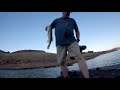 Coyote Fishing / Big Largemouth Bass from Castaic Lake