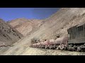 Trains in Chile's Norte Grande