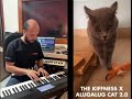 Gato Cantor - Cat Singer - SIENM