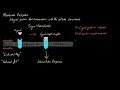 Membrane Receptors | Nervous system physiology | NCLEX-RN | Khan Academy
