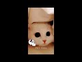 Hilarious Cats and Dogs😹🐶Funniest Animals 2024😻#4