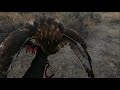 Falconry Etiquette When You go Hunting With a Falconer