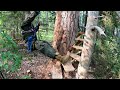 I am BUILDING a Safe Shelter in a tree for COMFORTABLE survival. A huge TREE HOUSE