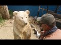 Bear Sculpture chainsaw carving #chainsawcarving #woodcarving #woodworking