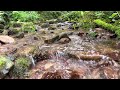 Mountain River Sounds for Stress Relief / peaceful river sounds
