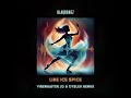 Blaqbonez - Like Ice Spice (Vibemaster JD & DysleX Remix)