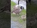 FEEDER CANAL GLENS FALLS QUEENSBURY NY FRIDAY MAY 24 2024