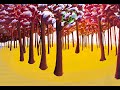 Treetop Tranquility timelapse