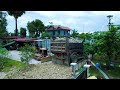 Amazing, the process of pouring soil to clear water for building houses by dozer and truck