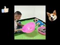 cute And Funny animals dogs,cats videos 2024🐾cute Animals Video 😂 TRY not To laugh