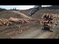 Loading log truck