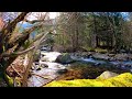 Relaxation Relaxing Music, Water Sounds for Sleep or Focus, Flowing Water - NATURE SOUNDS