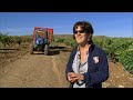The Majestic Rioja: Spain's Largest Wine Region | Documentary