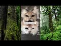 ꔛ🐺 Therian/ Animal Mask TikTok compilation | 21 mins 🌲ꔛ Mostly masks but still some quads ꔛ