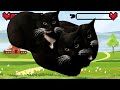 Maxwell Cat vs Maxwell Cat meme video 05