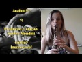 Montando o clarinete: seu primeiro som / AULA DE CLARINETE
