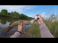 Bowfin fishing in the little Calumet River in Gary IN