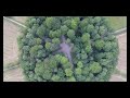 Drone flight over Tottenham house Savernake 7 July 2019