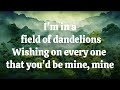 Dandelions ~ Ruth B (lyrics) #lyrics