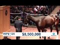 The November Sale (2017): SONGBIRD sells for $9.5M