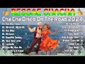 Bagong Nonstop Cha Cha 2023 ✌️ Reggae Cha Cha Disco On The Road 2023