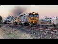 Freight Trains On The Blue Mountains & Main Western Line