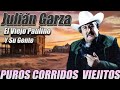 Julian Garza El Viejo Paulino 20 Grandes Exitos || Puros Corridos Viejitos