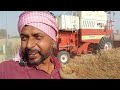 ਅੱਜ ਕੱਟ ਦਿੱਤੀ ਕਣਕ//wheat harwaiting in@youtuberferozepurya6819 #agriculture #trending #viral