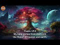 I Surrender ~ Best of Piano Instrumental Worship Music For Pray ~ Piano Hillsong Christian Music