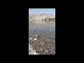 Colorado River Bullhead City, AZ  #Shorts