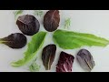 Green Leafy Vegetables, A Nutritive Alkalizing Food High in Fiber