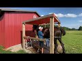 DRAFT HORSES // Driving the Percheron Draft Horses with the parade wagon