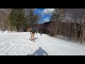 Derek Griggs at Loon Mtn 2020. Just before Covid19 shut down New Hampshire skiing.