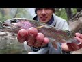 Rainbow Trout Fishing in a Super Clear River (California Sierras)
